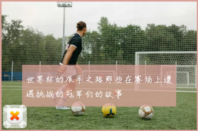 世界杯的艰辛之路那些在赛场上遭遇挑战的冠军们的故事